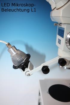 LED Mikroskopbeleuchtungen