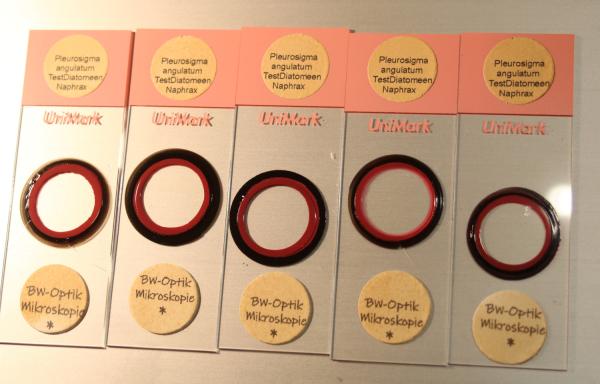 5 Stück Diatomeen-Mikroskop Teststreupräparat für Qualitätstest von Objektiven