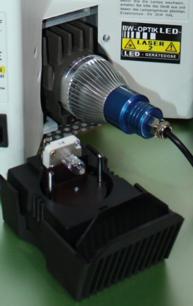 Olympusmikroskop LED Beispielfoto